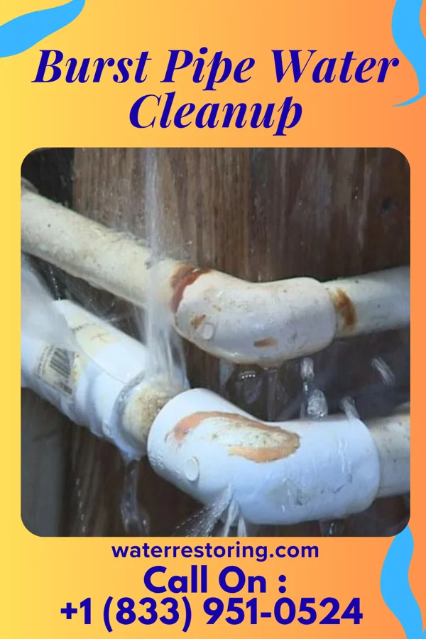Burst Pipe Water Cleanup in Centre Grove, NJ