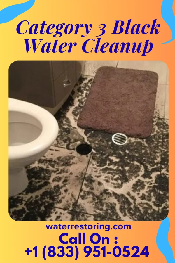 Category 3 Black Water Cleanup in Centre Grove, NJ
