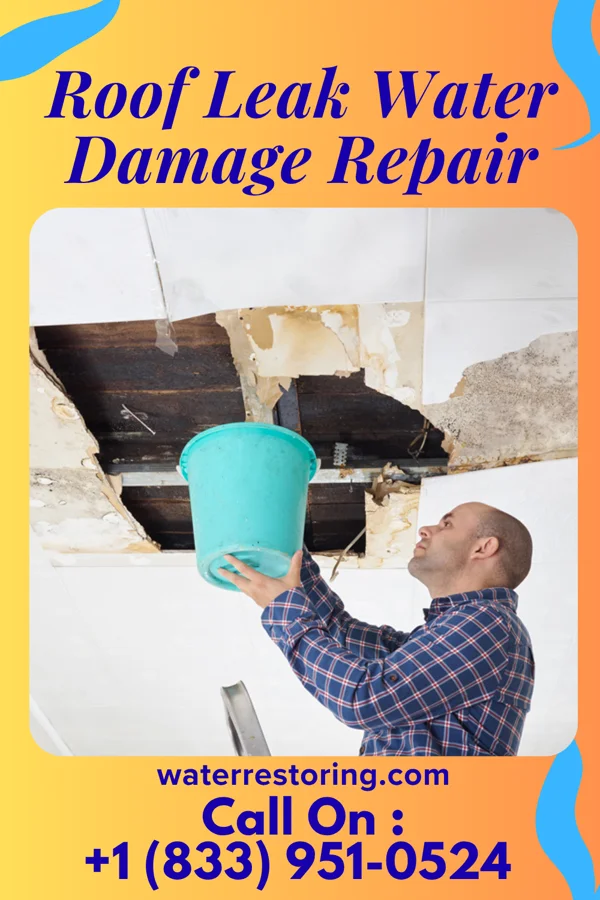 Roof Leak Water Damage Repair in Centre Grove, NJ