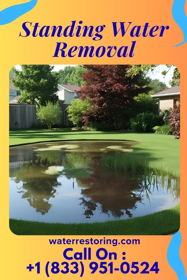 Standing Water Removal in Centre Grove, NJ
